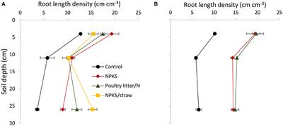 An Insight Into the Effect of Organic Amendments on the Transpiration Efficiency of Wheat Plant in a Sodic Duplex Soil